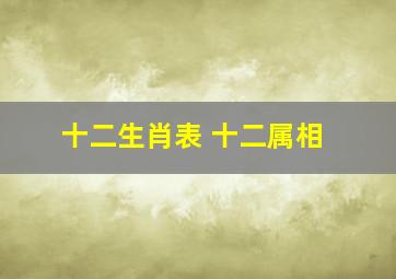 十二生肖表 十二属相